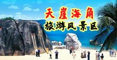 韩国妇女操逼视频海南三亚-天崖海角旅游风景区