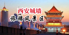 木里粗鸡巴操小嫩B免费视频中国陕西-西安城墙旅游风景区