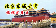 黄片操美女操呀啊中国北京-东城古宫旅游风景区